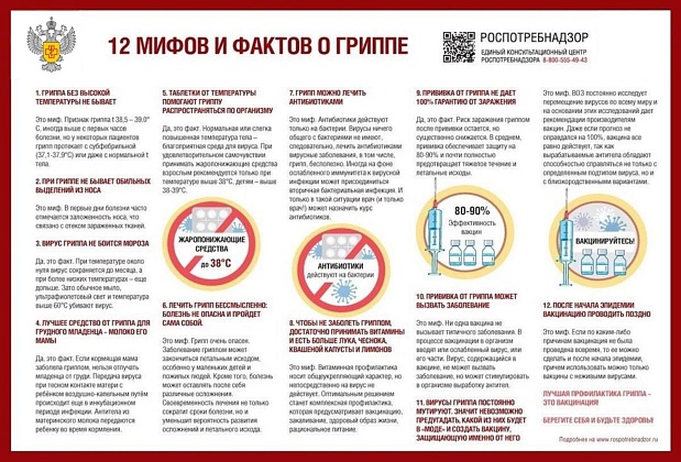 Профилактика гриппа